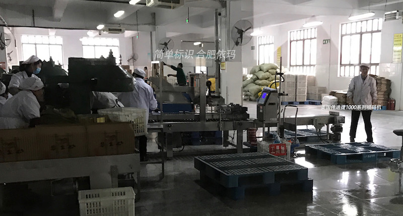 车间中的输送设备、纸箱与工作人员