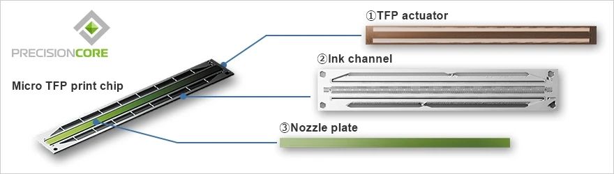 Micro TFP打印芯片及驱动器、墨水通路、喷嘴板分化示意