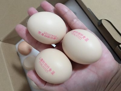 手中三枚带粉红色字符标识的鸡蛋