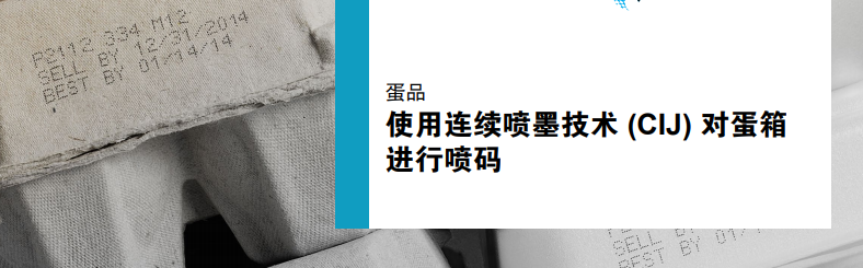 蛋箱表表点阵字符及陆续喷墨技术标题图