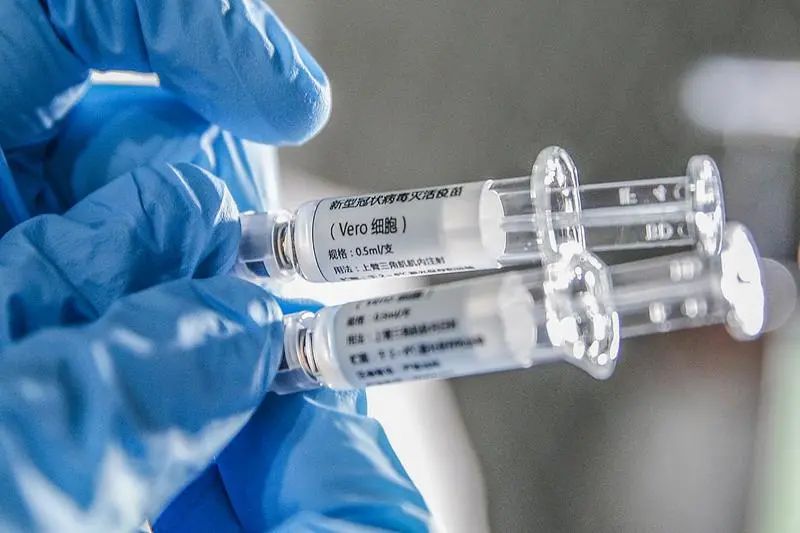 戴蓝色手套的手持两支带Vero细胞疫苗标签的注射器
