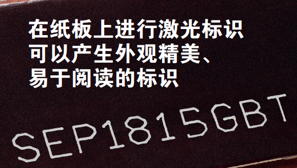 深色纸板上的SEP1815GBT白色字符